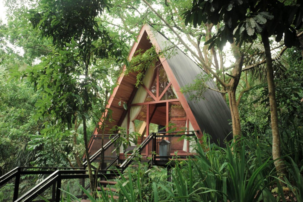 Rumah Pohon Monta di Glamping Tahura – Menginap di ketinggian hutan dengan suasana alami Bandung