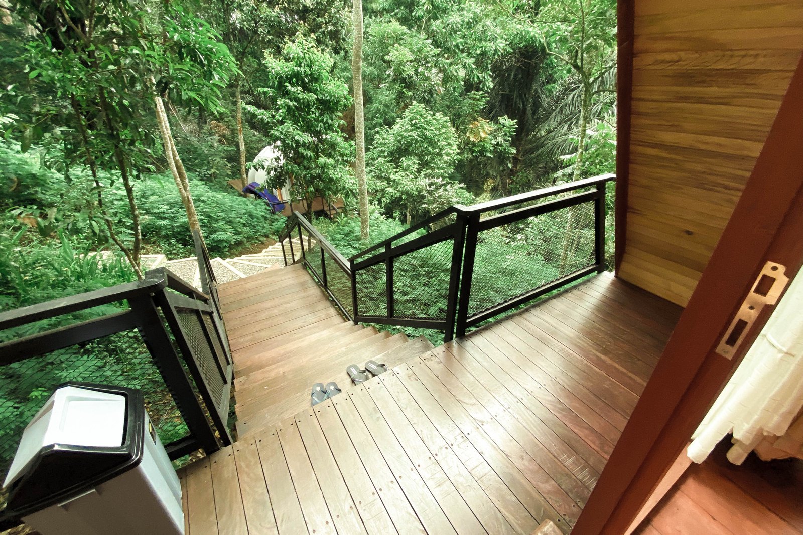 2025_06_14_14_57_IMG_0531