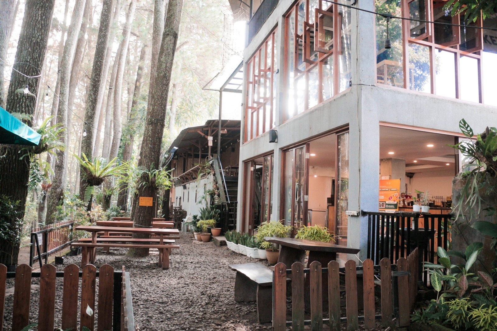 Kopi Tahura, Kopi estetik dengan hutan pinus dekat dengan Glamping Tahura Dago Pakar Bandung