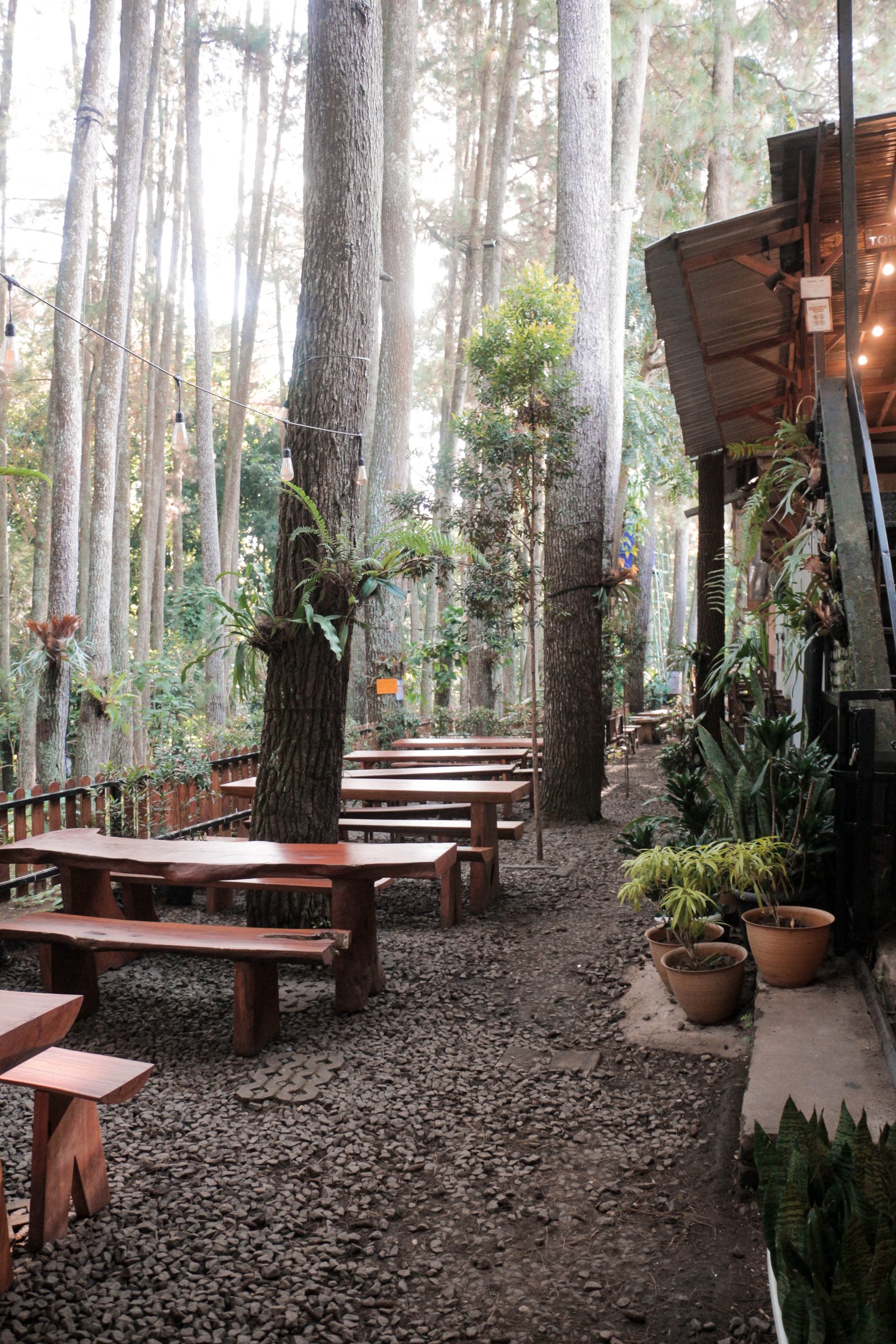 Area Penyambutan Tamu Kopi Tahura, untuk Reservasi Glamping Tahura Dago Pakar Bandung