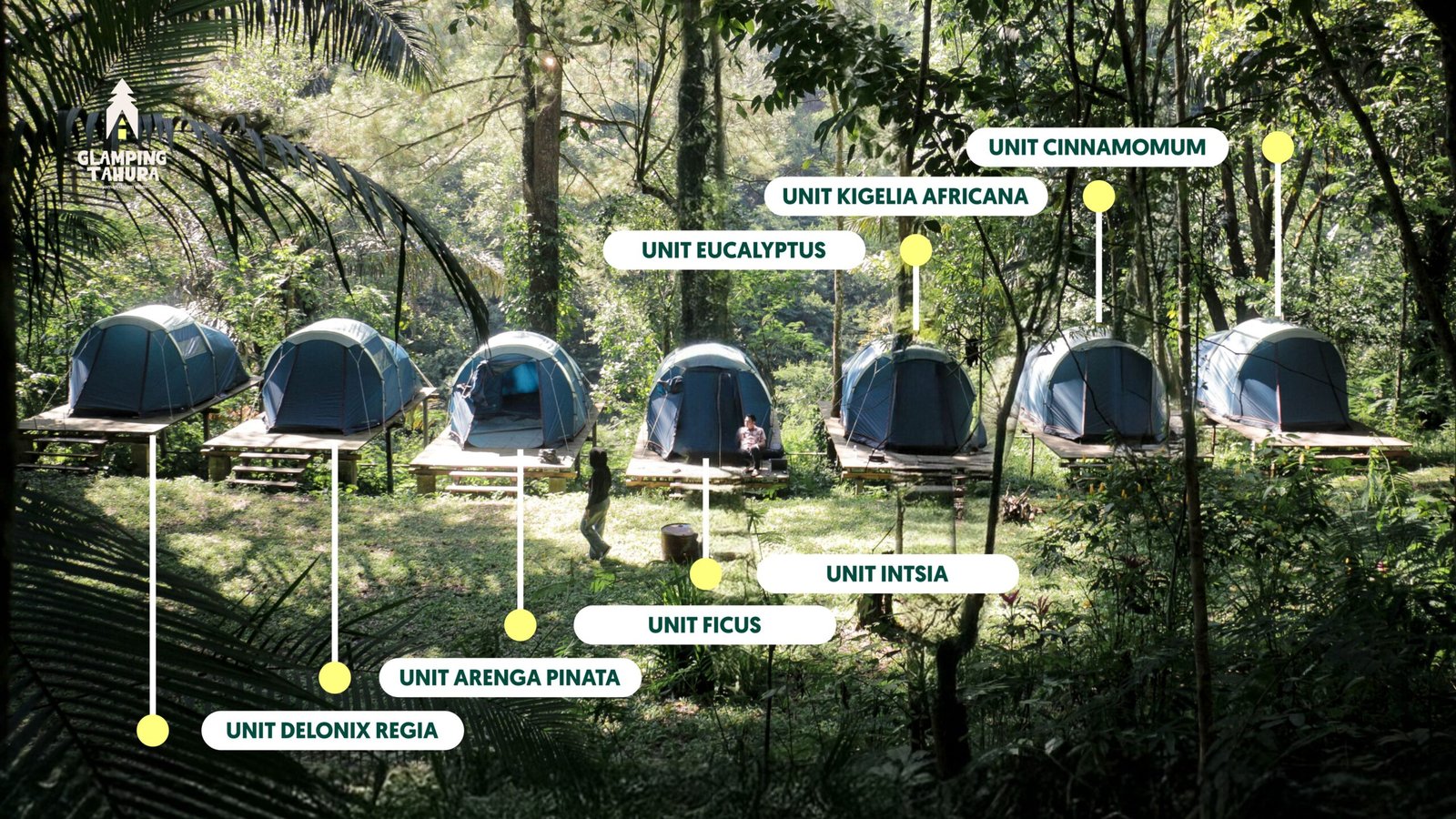 Tenda Deck Cikapundung Berjejer rapi di Glamping Tahura Dago Pakar Bandung